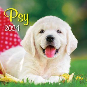 Nástenný kalendár Psy 2024