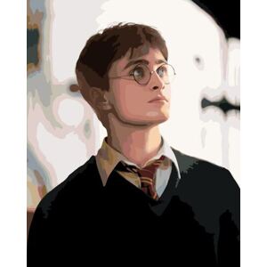 Maľovanie podľa čísel Harry Potter: Portrét 40x50cm Zuty