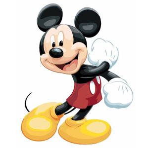 Maľovanie podľa čísel Mickey Mouse 40x50cm Zuty