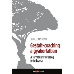 Gestalt Coaching a gyakorlatban
