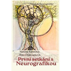 První setkání s neurografikou