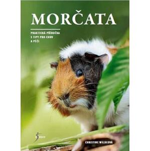 Morčata - Praktická příručka s tipy pro chov a péči