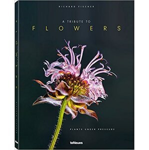 A Tribute to FLOWERS