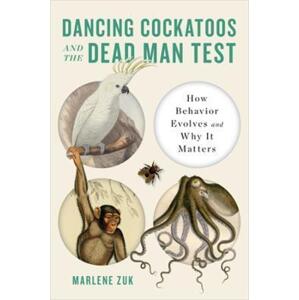 Dancing Cockatoos and the Dead Man Test
