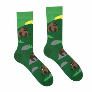 Unisex ponožky Svišť HestySocks (veľkosť: 35-38)