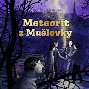Meteorit z Mušlovky - Audiokniha CD