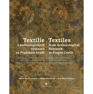 Textilie z archeologických výzkumů na Pražském hradě, svazek I