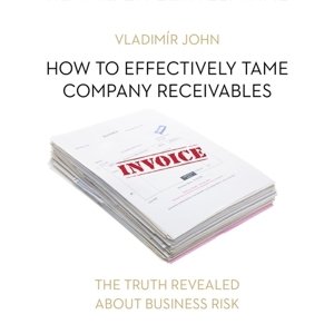 How to effectively tame company receivables (EN)