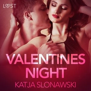 Valentine's Night - Erotic Short Story (EN)