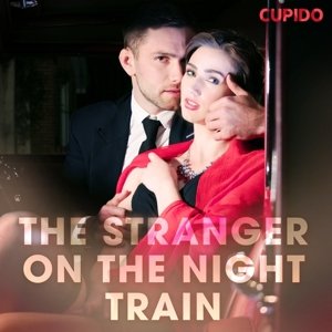 The Stranger on the Night Train (EN)