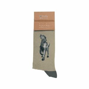Pánske bambusové ponožky "Walkies" Wrendale Designs - labrador