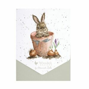 Sada prianí s obálkou "Flower Pot" 8 ks Wrendale Designs - králik v kvetináči