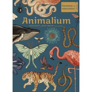 Animalium – Üdvözlünk a múzeumban!