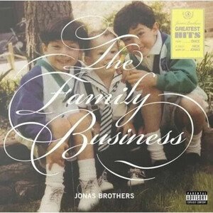 Jonas Brothers - The Family Business CD