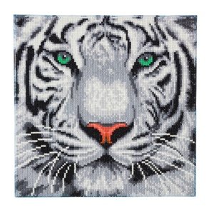 Obraz vykladanie z diamantov Biely tiger (30x30 cm)