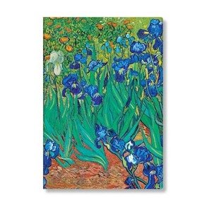 Adresár Van Gogh’s Irises Midi Paperblanks