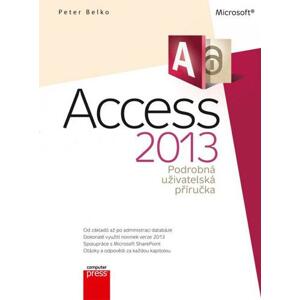 Microsoft Access 2013 Podrobná uživatelská příručka