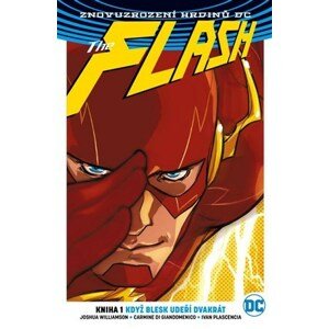 Flash 1: Když blesk udeří dvakrát