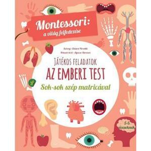 Az emberi test-Montessori - A világ felfedezése