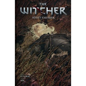 The Witcher- Vaják: Sötét emlékek (képregény)