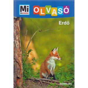 Erdő - Mi Micsoda Olvasó