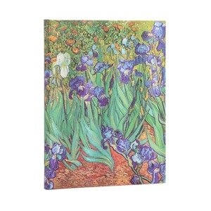 Zápisník Paperblanks Van Gogh Ultra Lined