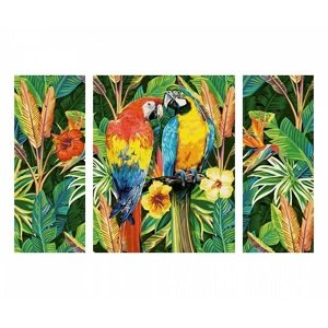 Maľovanie podľa čísel Papagáje v pralese (50x80 cm) Schipper