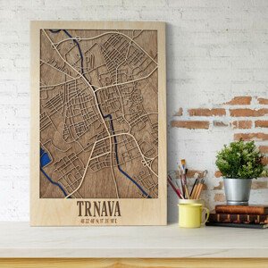 3D mapa mesta Trnava (20 x 30 cm)
