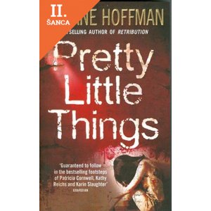 Lacná kniha Pretty Little Things