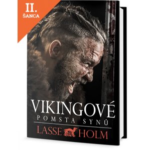 Lacná kniha Vikingové - Pomsta synů