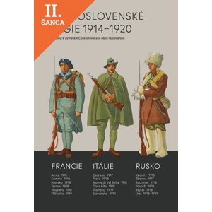 Lacná kniha Československé legie 1914-1920 - Katalog k výstavám Československé obce legionářské