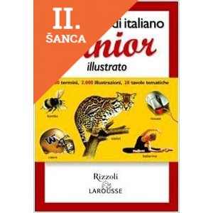 Lacná kniha Dizionario Junior Ilustrato