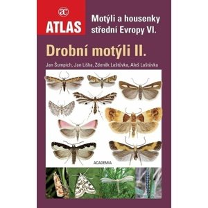 Motýli a housenky střední Evropy VI. - Drobní motýli II.