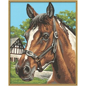 Maľovanie podľa čísel Portrét koňa (24x30 cm) Schipper