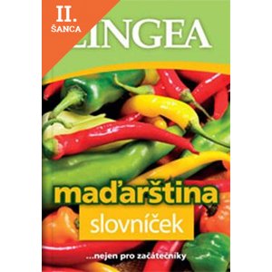 Lacná kniha Maďarština slovníček