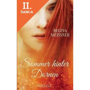 Lacná kniha Sommer Hinter Dornen