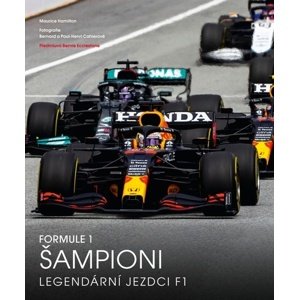 Formule 1 Šampioni - Legendární jezdci F1