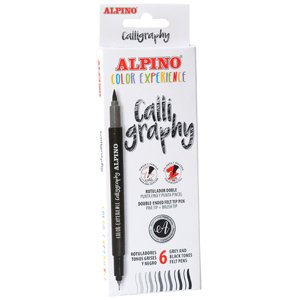 Alpino Balenie 6 fixiek s dvojitým koncom Color Experience Calligraphy