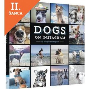 Lacná kniha Dogs On Instagram