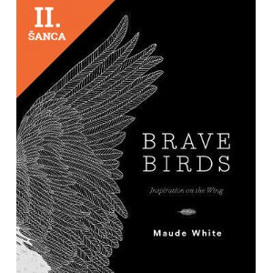 Lacná kniha Brave Birds - Inspiration on the Wing