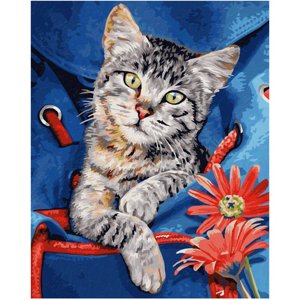 Maľovanie podľa čísel Mačka v batohu (24x30 cm) Schipper