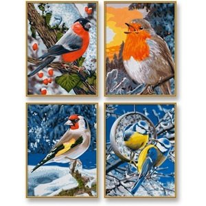 Maľovanie podľa čísel Zimné vtáky (4 obrazy 18x24 cm) Schipper