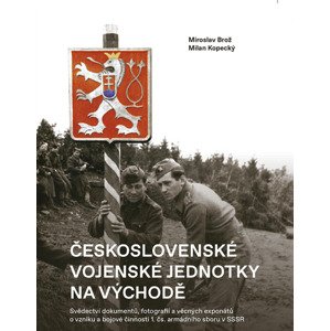 Československé vojenské jednotky na východě