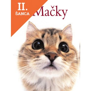 Lacná kniha Mačky