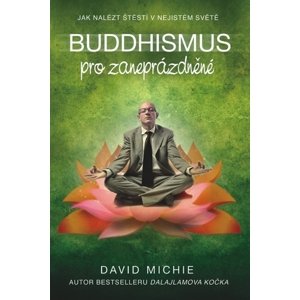 Buddhismus pro zaneprázdněné