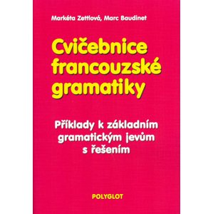 Cvičebnice francouzské gramatiky - Příklady k základním gra