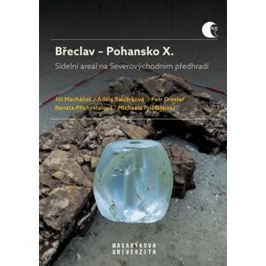 Břeclav – Pohansko X. Sídelní areál na Severovýchodním předhradí
