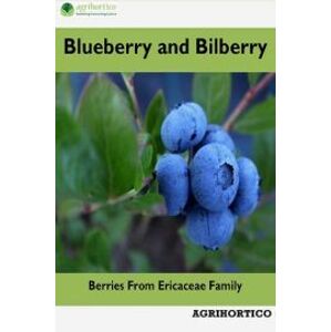Blueberry and Bilberry