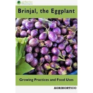 Brinjals, the Eggplant
