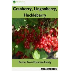 Cranberry, Lingonberry, Huckleberry